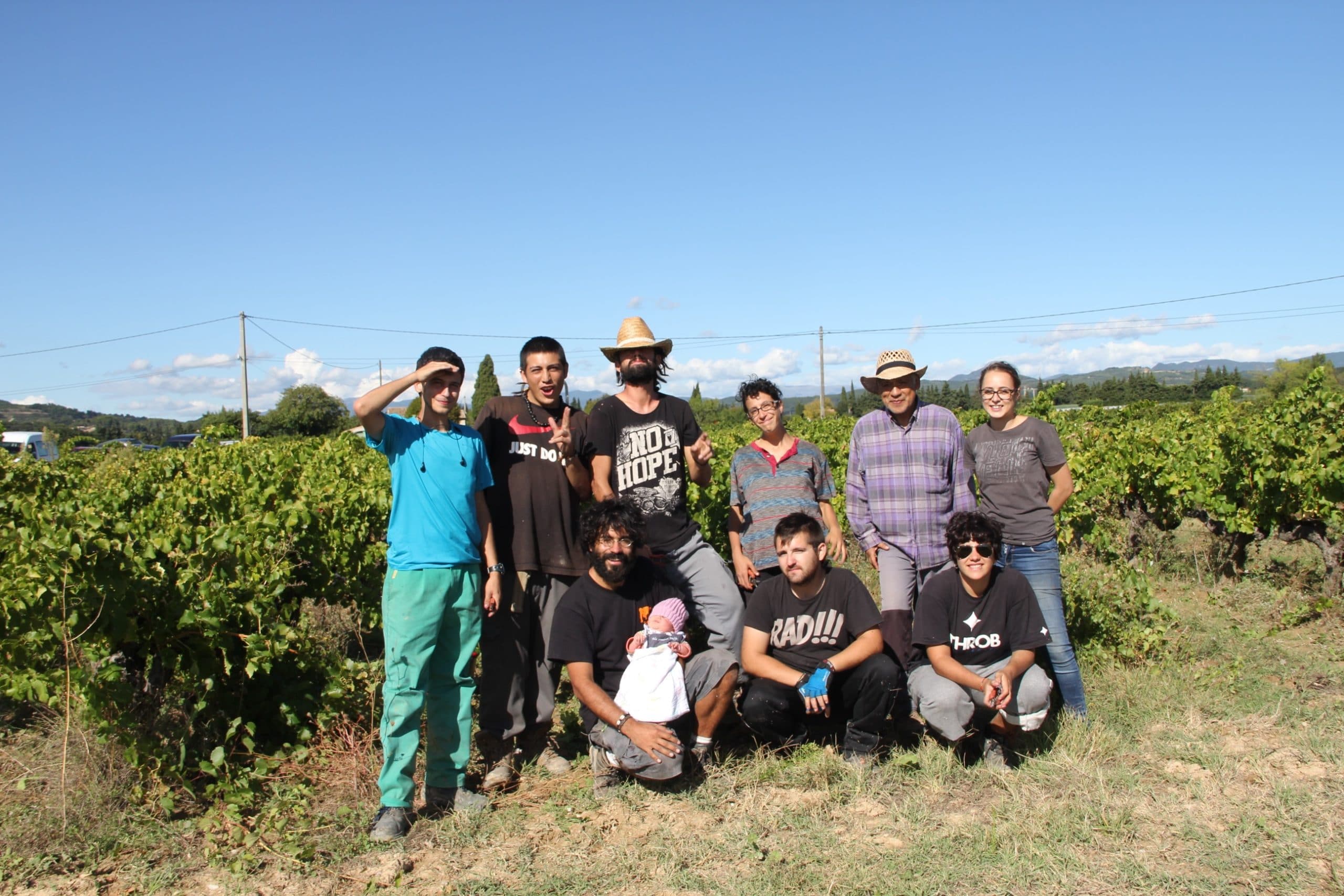 Vendanges 2015, quel régal !!